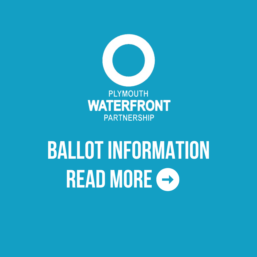 BID Ballot tile web 2