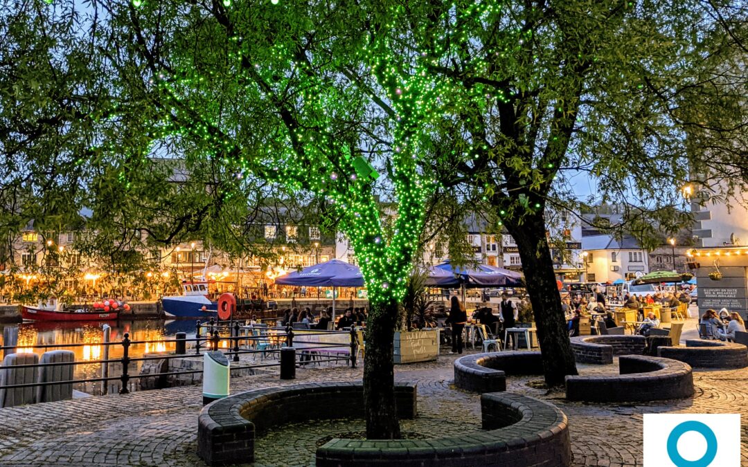 New tree lights illuminating Sutton Harbour