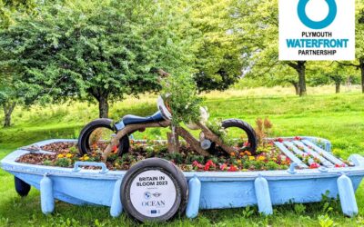 Britain In Bloom – Plymouth Judging day
