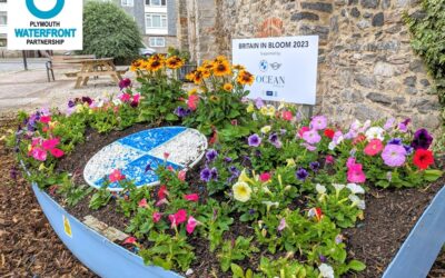 Britain in Bloom – Plymouth – 8 Installations to visit