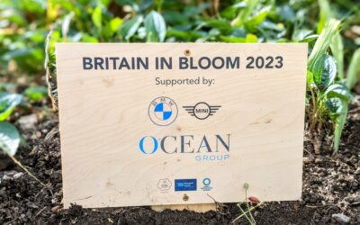 School children help with Plymouth South West in Bloom