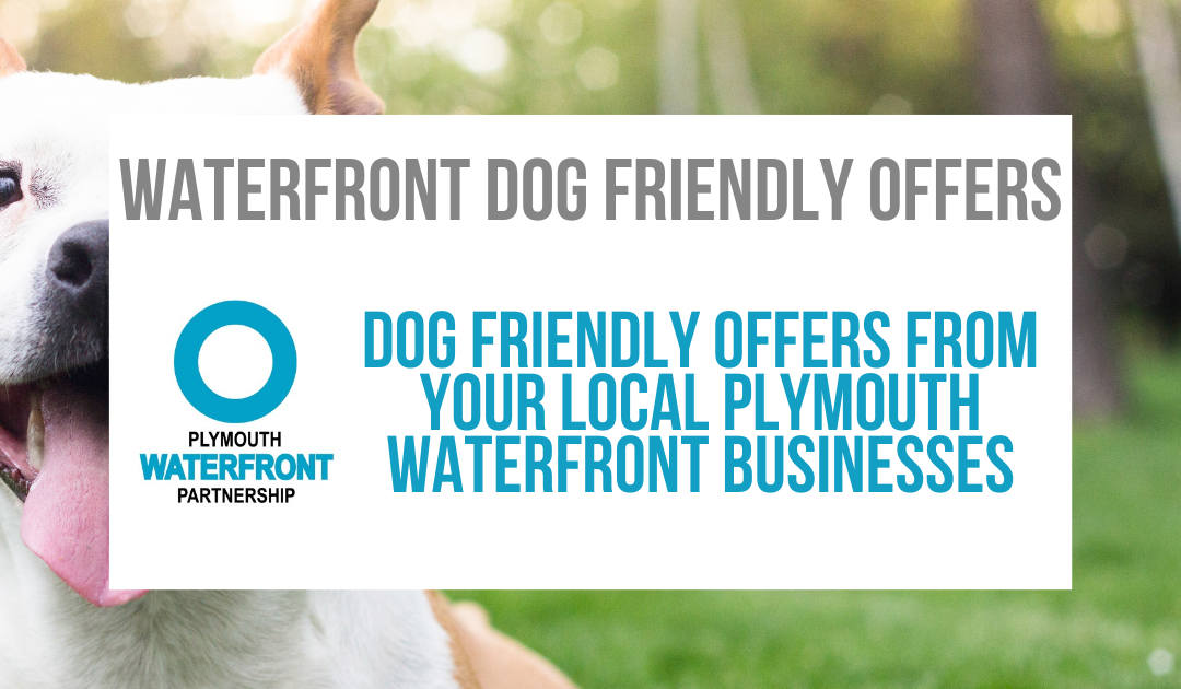 Plymouth Waterfront Venues – Dog Friendly Offers