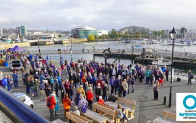 Cruise Ship Visits to Plymouth in August & Submit your offers!