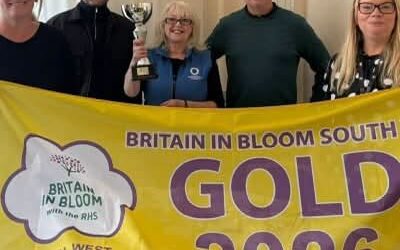 Double Gold For Plymouth Waterfront Partnership